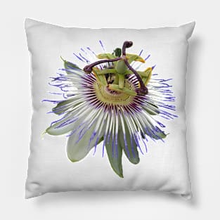 Passion Flower Close Up Pillow