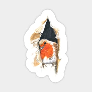 Robin Bird in a Hole Magnet