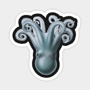 Shimmery Blue  Upside-Down Octopus Magnet