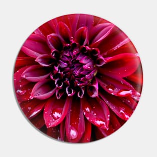 Dahlia Pin