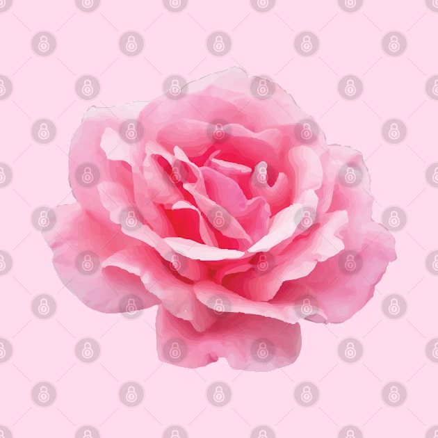 A Big Pink Rose Flower by Spirit Animals 21