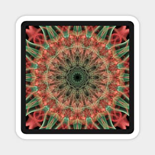 Kaleidoscope of colors Magnet