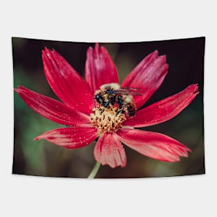 Pollen Collection. Bee Photograph Tapestry