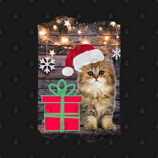 Merry Christmas Kitty Cat Gift Box by Skate Galaxy