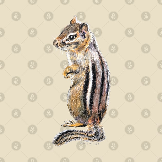 Chipmunk Drawing 2 by EmilyBickell