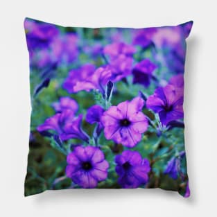 Purple Petunias in front of White Fence Pillow