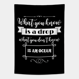 What you know is a drop what you dont know is an ocean Tapestry