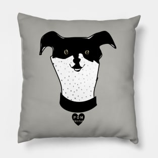 Rat terrier : Pillow