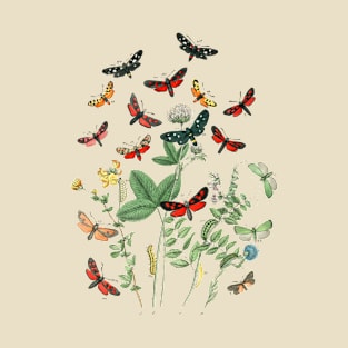 Butterflies T-Shirt