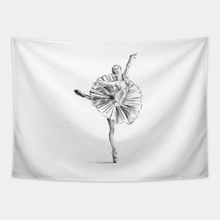 Ballet Tapestry