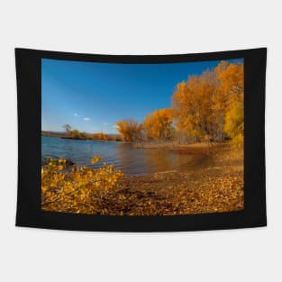 Golden Shore Tapestry