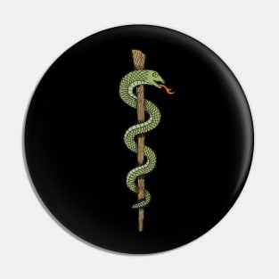 One Snake Caduceus Pin