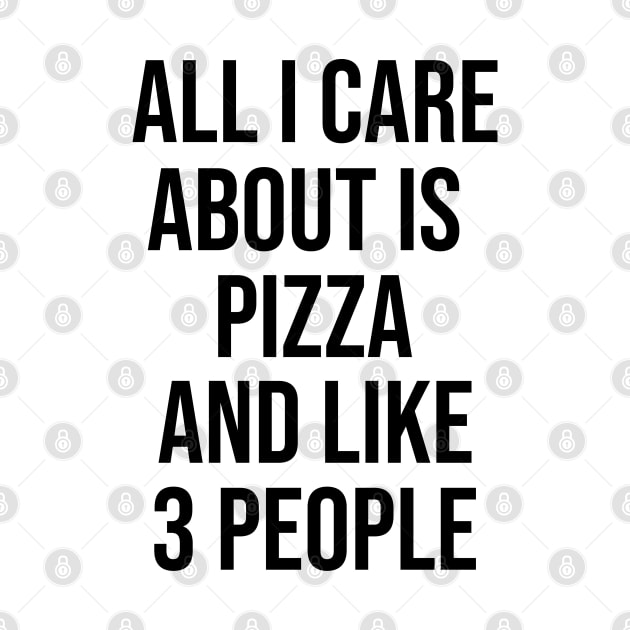 All I Care About Is Pizza And Like 3 People by artsylab