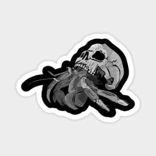 Skull hermit crab Magnet