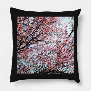blossoming almond tree Pillow