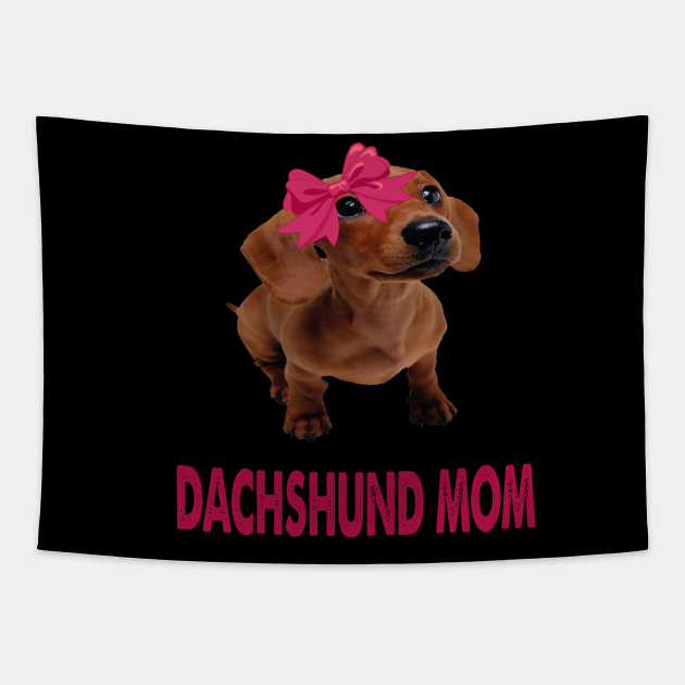 doxie mom 19