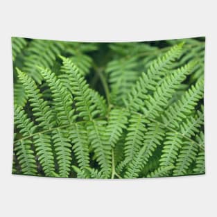 Ferns Tapestry