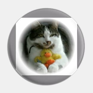 Cute Kitten with his pet Chick Pin