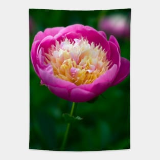 Pink Peony Tapestry