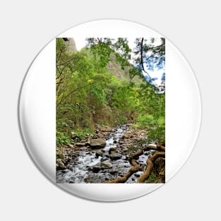 Kinihapai Stream Pin