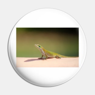 Carolina Anole Pin