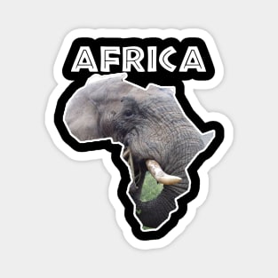 African Wildlife Continent Bull Elephant Magnet