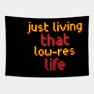 Just living that low-res life. Tapestry