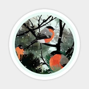 Bullfinches Magnet