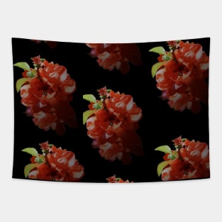 Flowering Quince Transparent Tapestry