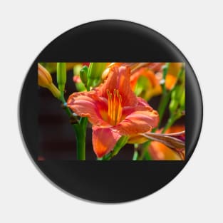 Regent Square Day Lily 2019 Pin