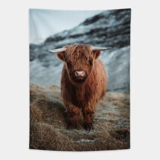 Highland Cattle Tapestry