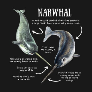 Animal Facts - Narwhal T-Shirt