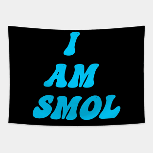 I am Smol Tapestry