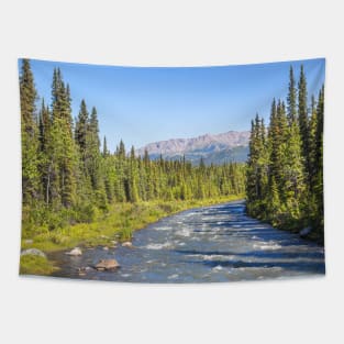 USA. Alaska. Denali National Park. Scenery. Tapestry