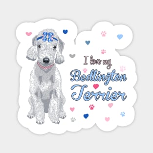 I Love My Bedlington Terrier! Especially for Bedlington Terrier Dog Lovers! Magnet