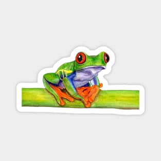 Red-eyed tree frog - ink and watercolour painting Magnet