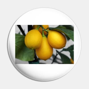 Lemons Pin