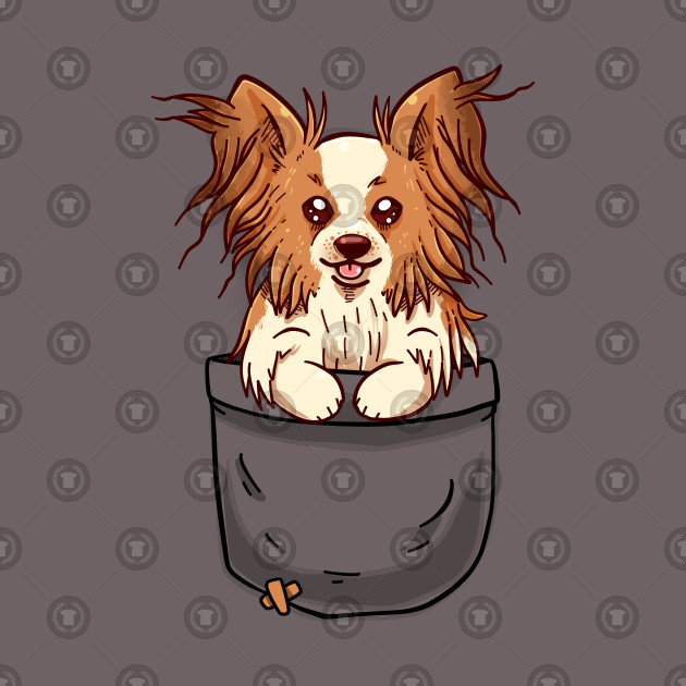 Pocket Cute Papillon Puppy