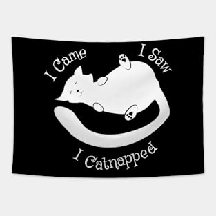 I Came I Saw Catnapped Cute Cat Tapestry