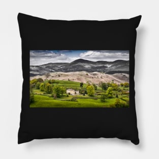 Living in the Green Belt Pillow