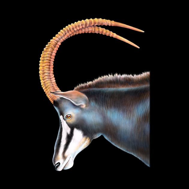 Sable Antelope by Tim Jeffs Art