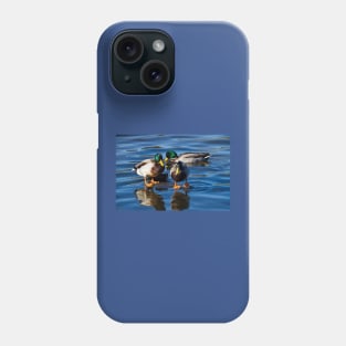 Mallard reflections Phone Case