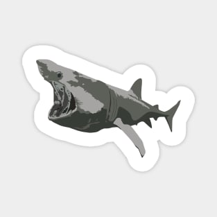 Basking shark Magnet