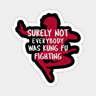 Surely Not Everybody Was Kung Fu Fighting Magnet