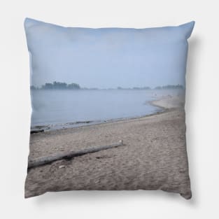 Cottagecore, Beach Front, Driftwood Pillow