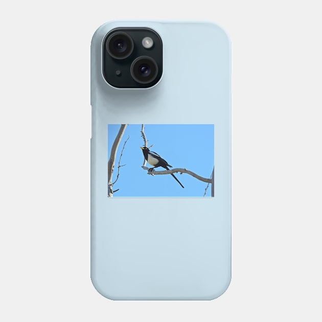 Wild birds, magpie, wildlife, A California Gem Phone Case by sandyo2ly