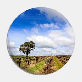 Springtime in the Barossa Valley Vineyards Pin