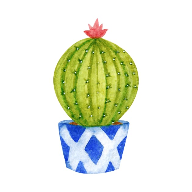 Cactus by shoko
