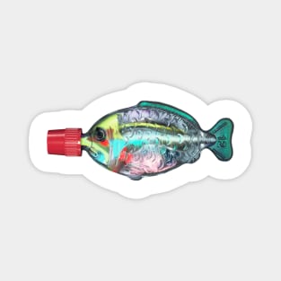 Sushi Fish Anatomy Real Magnet