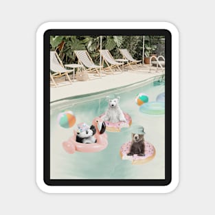 Panda Bear and White Polar Bear in the swimming pool Magnet